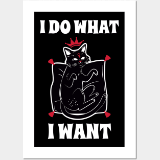 I do what I want Posters and Art